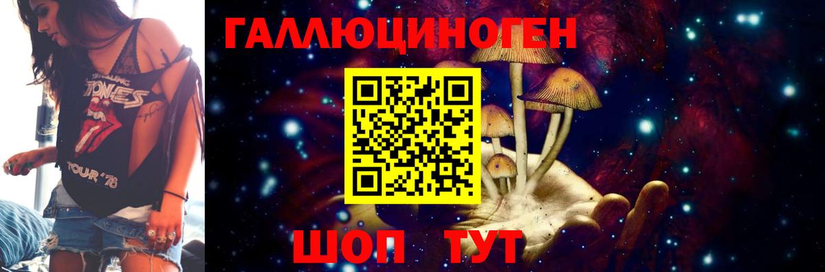 Галлюциногенные грибы Psilocybe Северск